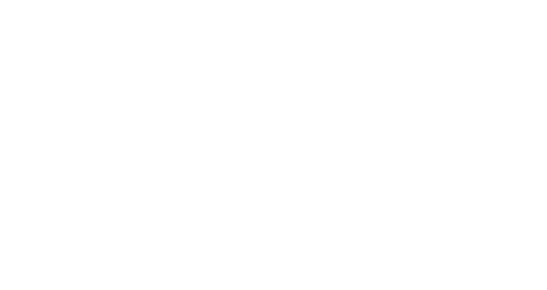 Record label partner